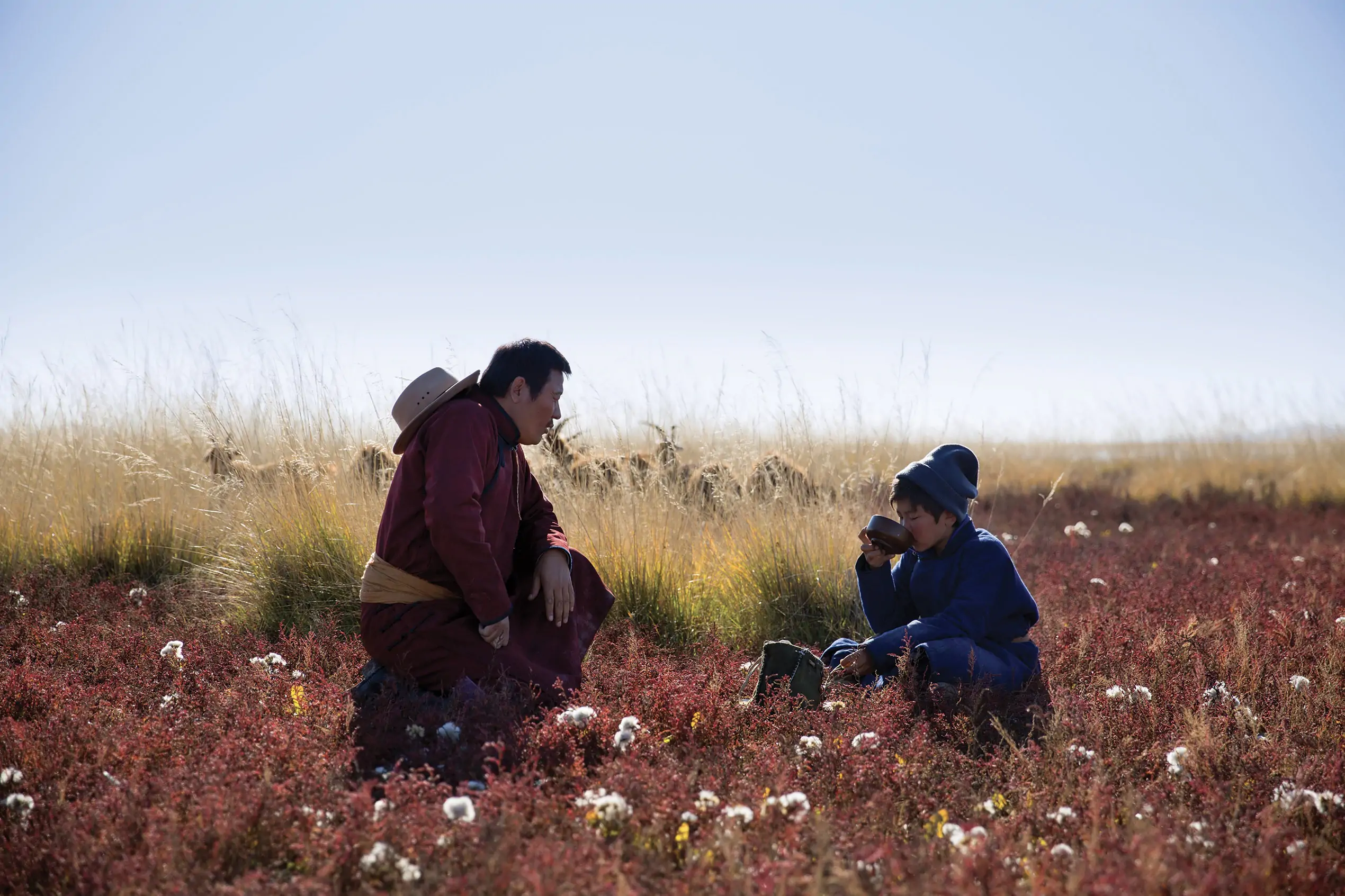 Les Racines du Monde – Image 3