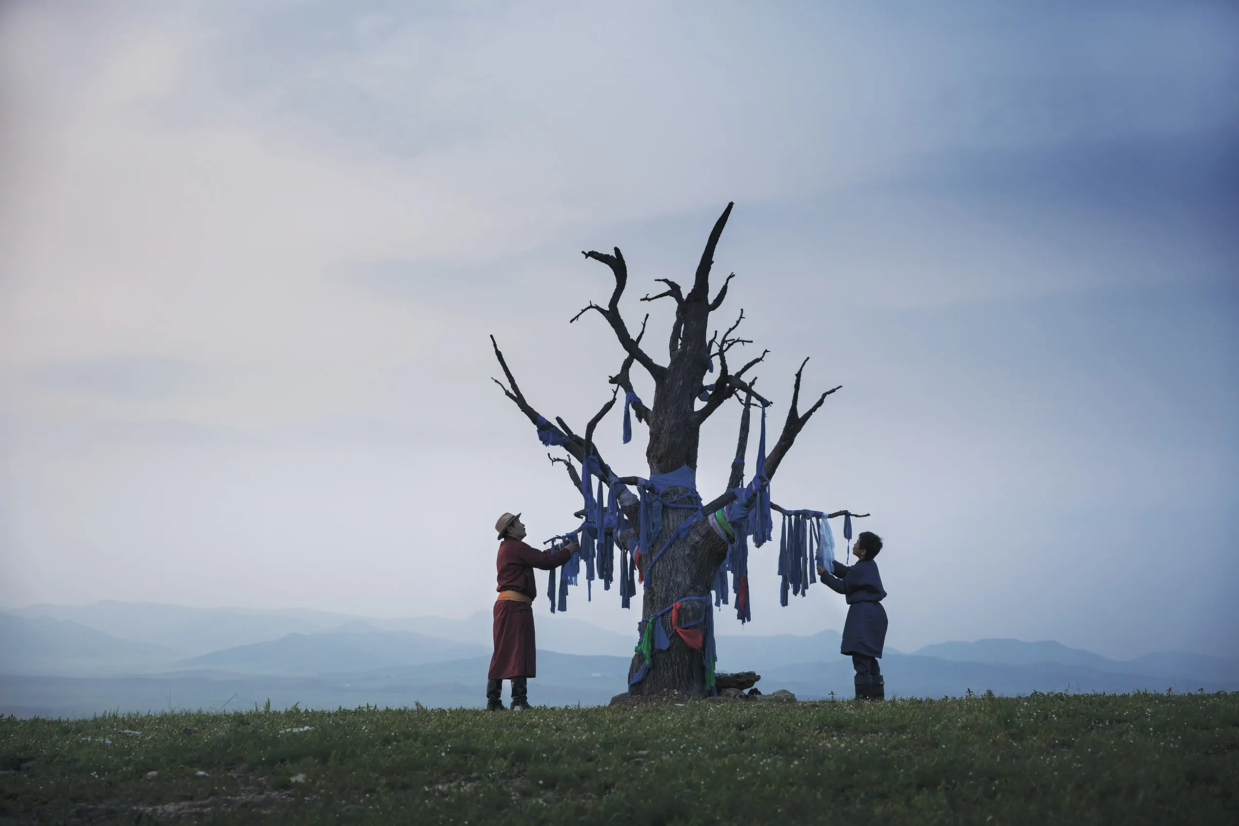 Les Racines du Monde – Image 2